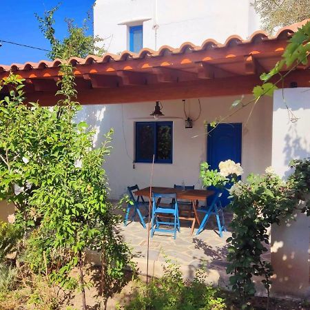 アファンドウ Lianas Garden Houseヴィラ エクステリア 写真