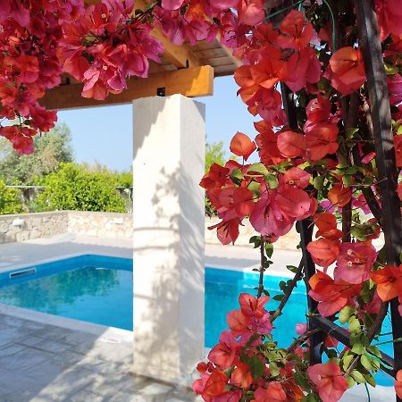 アファンドウ Lianas Garden Houseヴィラ エクステリア 写真