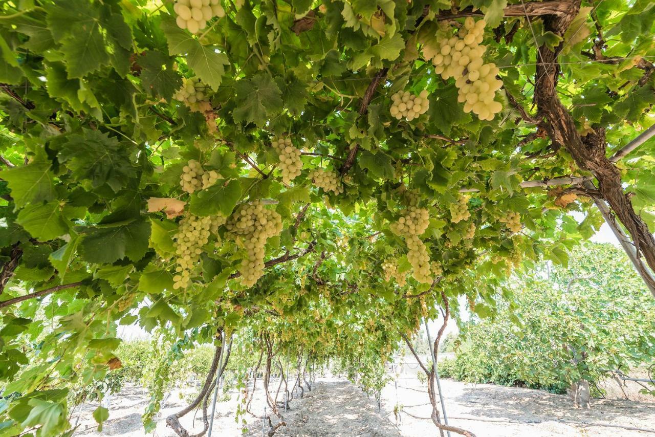 アファンドウ Lianas Garden Houseヴィラ エクステリア 写真